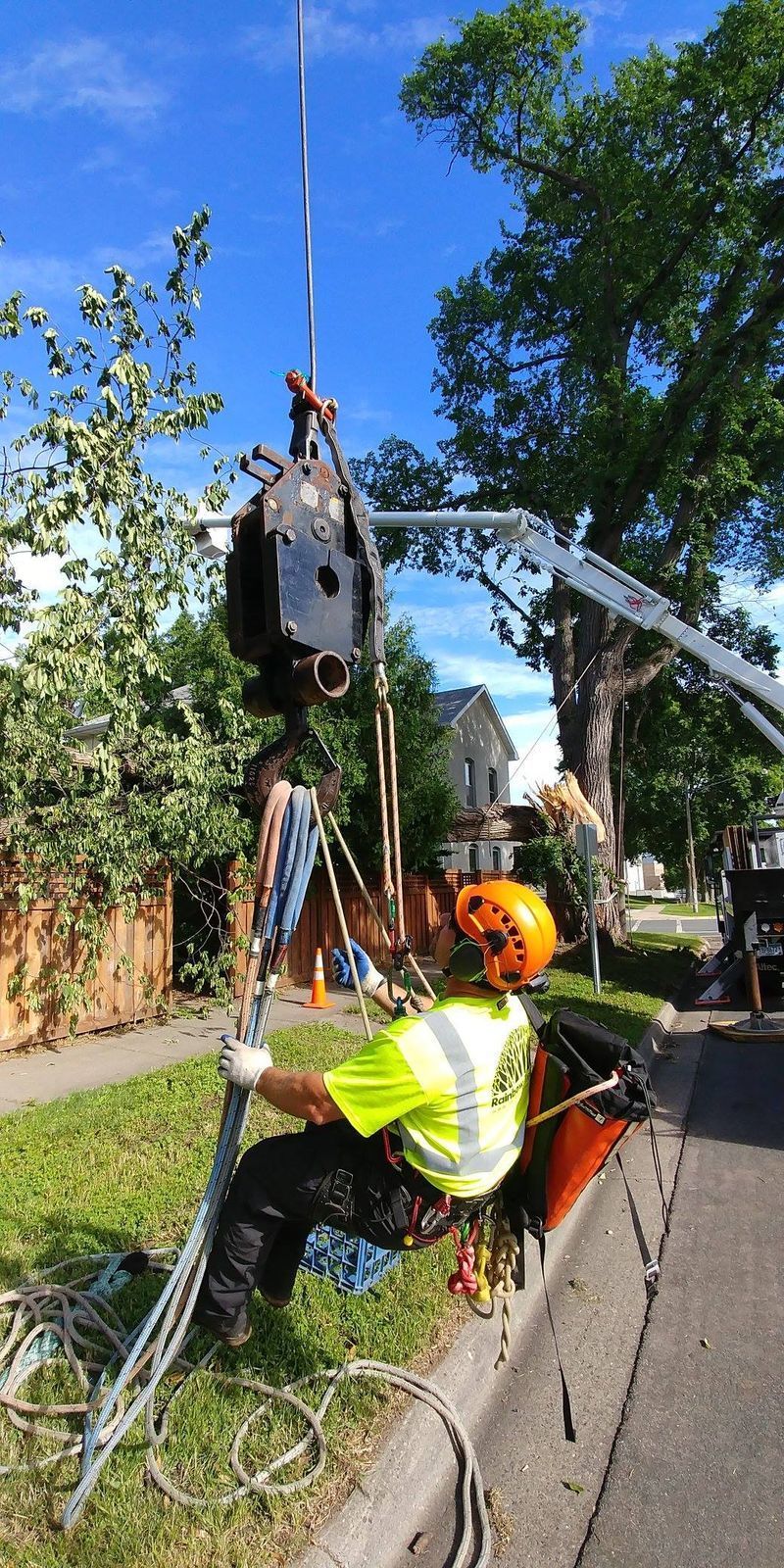 Arborist in safety gear using a crane to trim a tree on a sunny day.