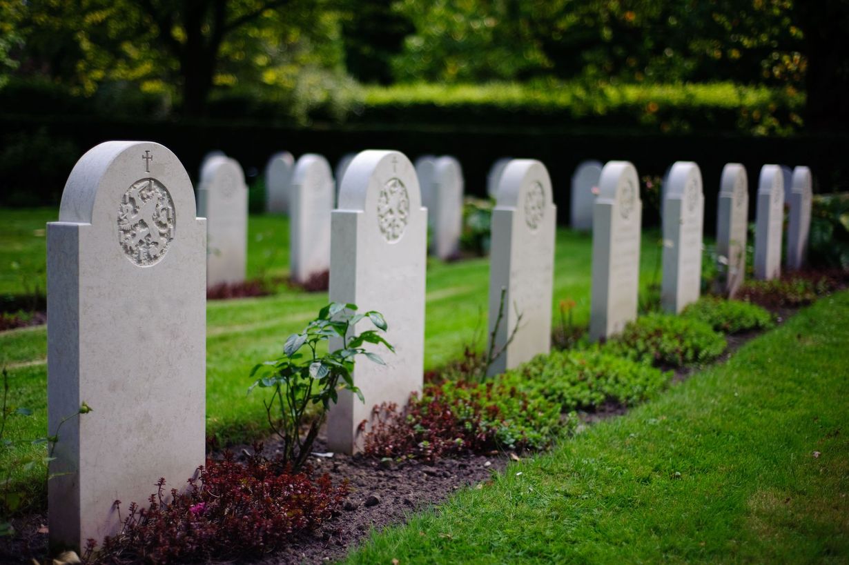 Rows of white gravestones in a grassy cemetery, with a few small plants.
