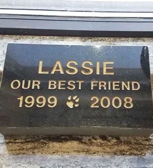 Black granite headstone for a dog named Lassie. It reads,