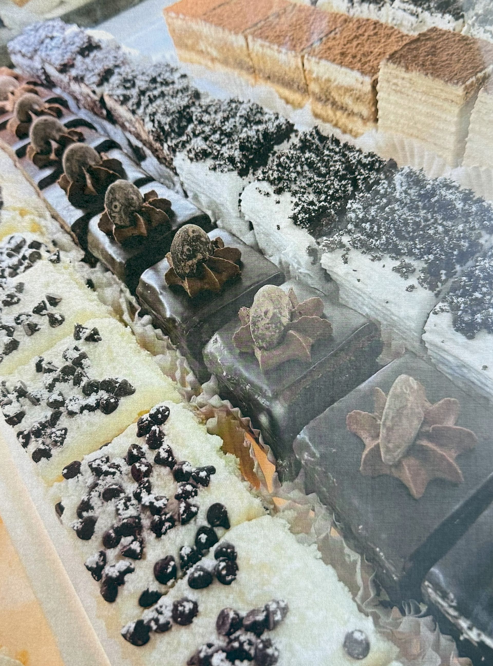 Assortment of rectangular pastries: chocolate, coffee, and creamy toppings displayed in a bakery case.