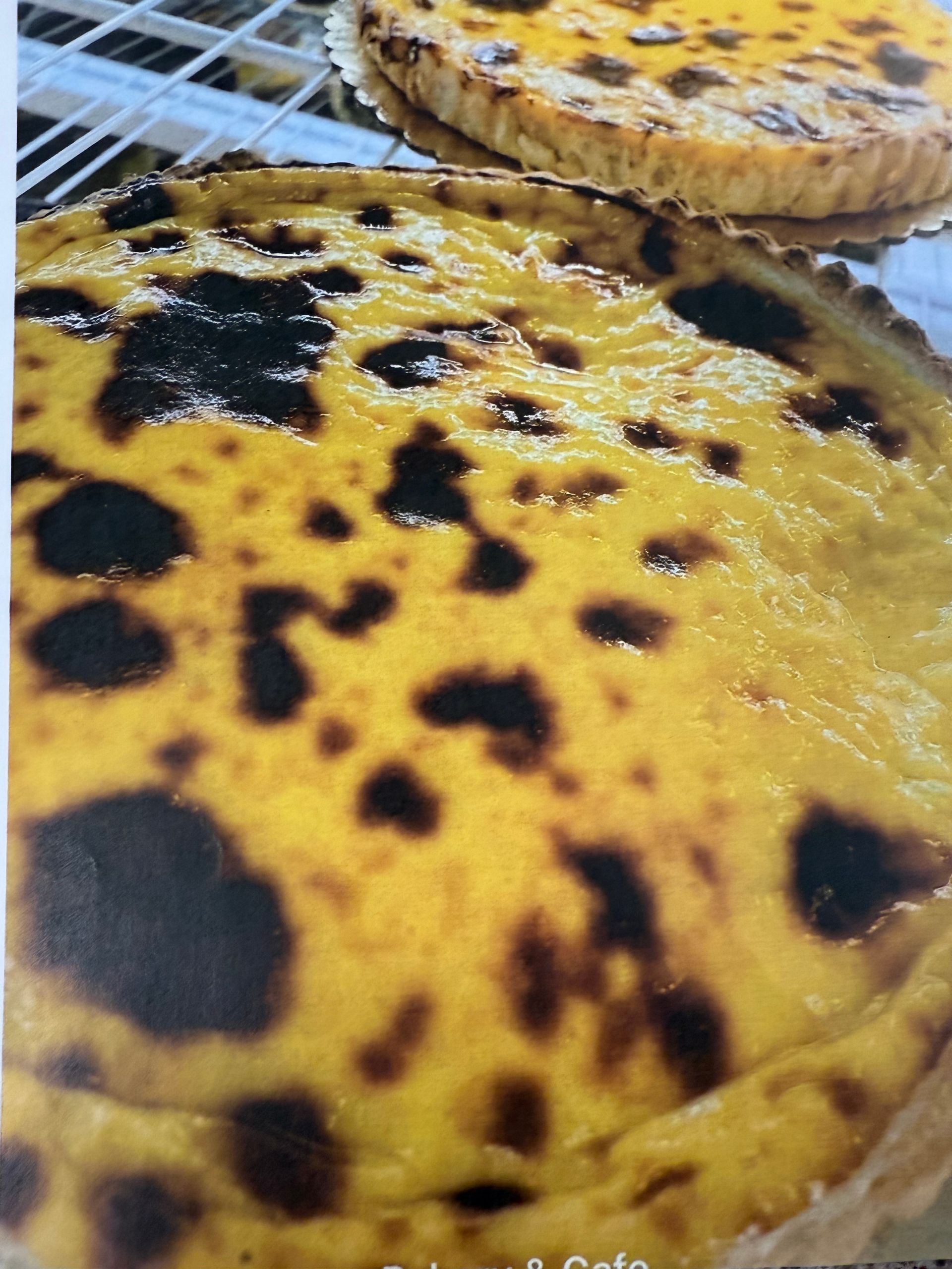 Two baked tarts with golden-yellow custard filling and dark, browned spots in a bakery setting.