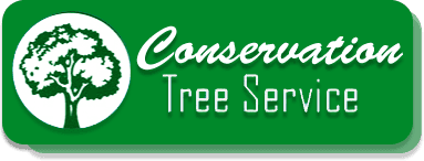 Tree care | Warren, MI | Conservation Tree Service  | 586-909-4584