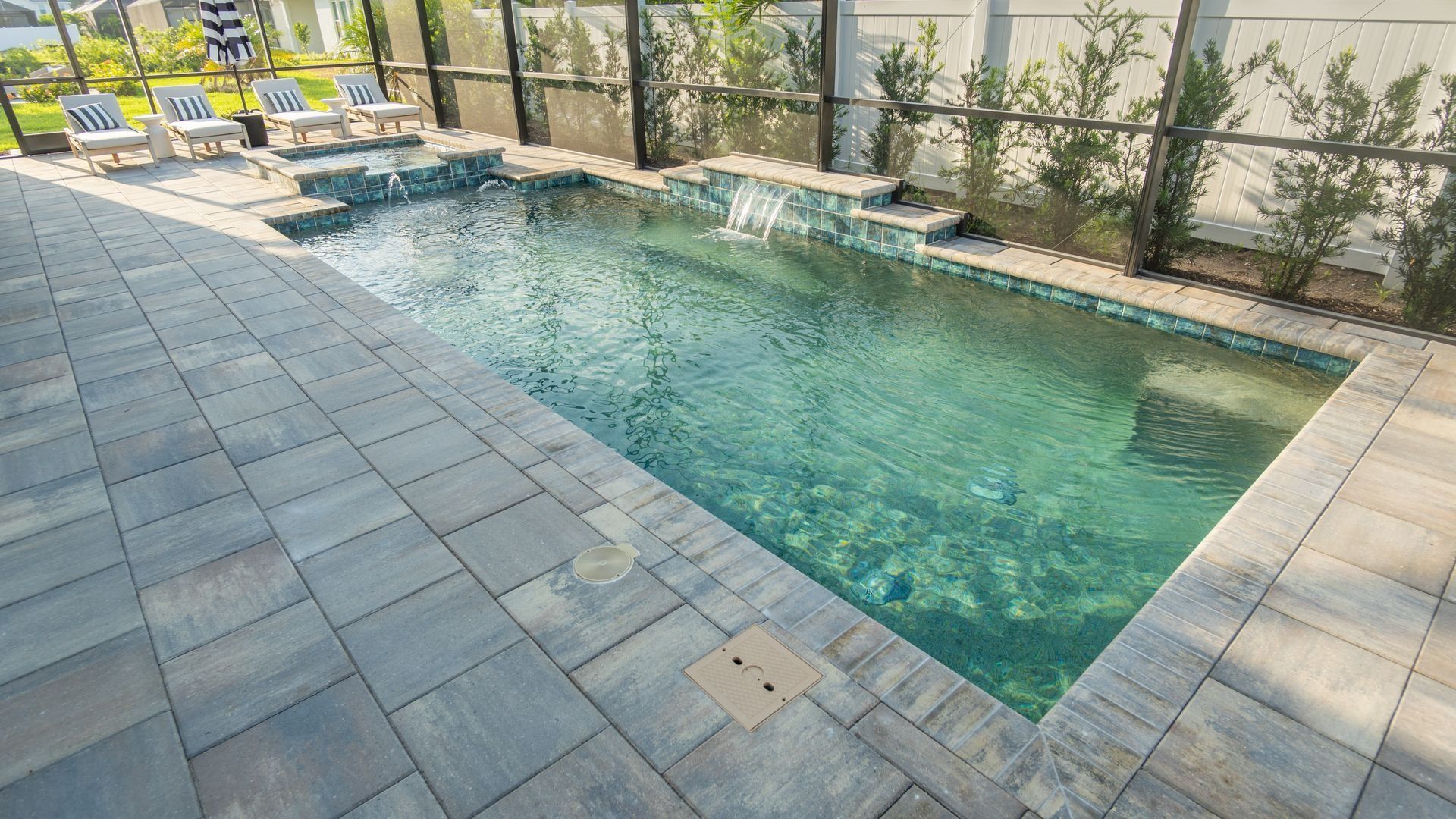 Modern backyard pool with blue water, stone patio, and lounge chairs along a landscaped fence line