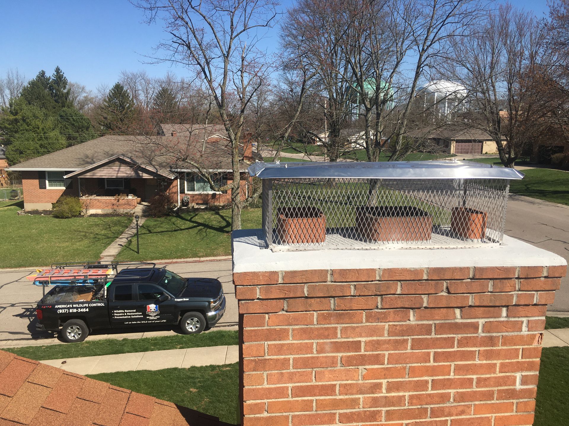 Animal damage repairs