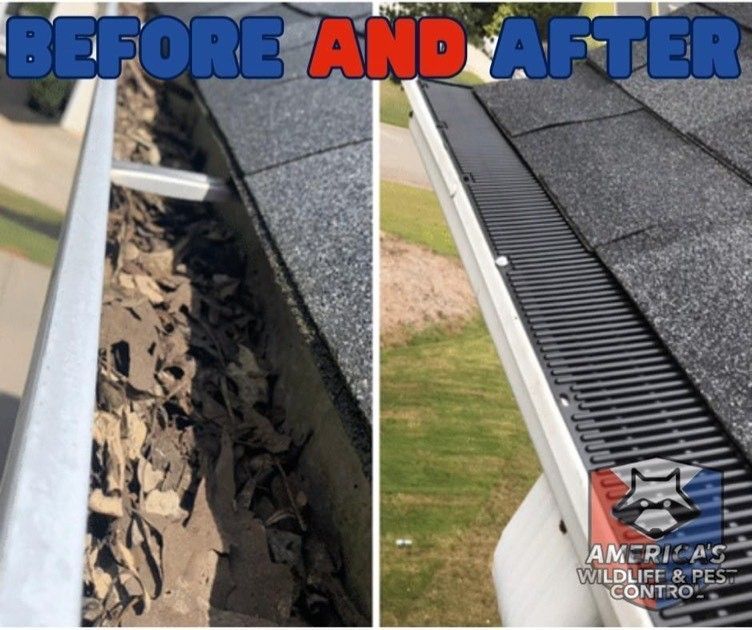 Gutter cleaning before and after images