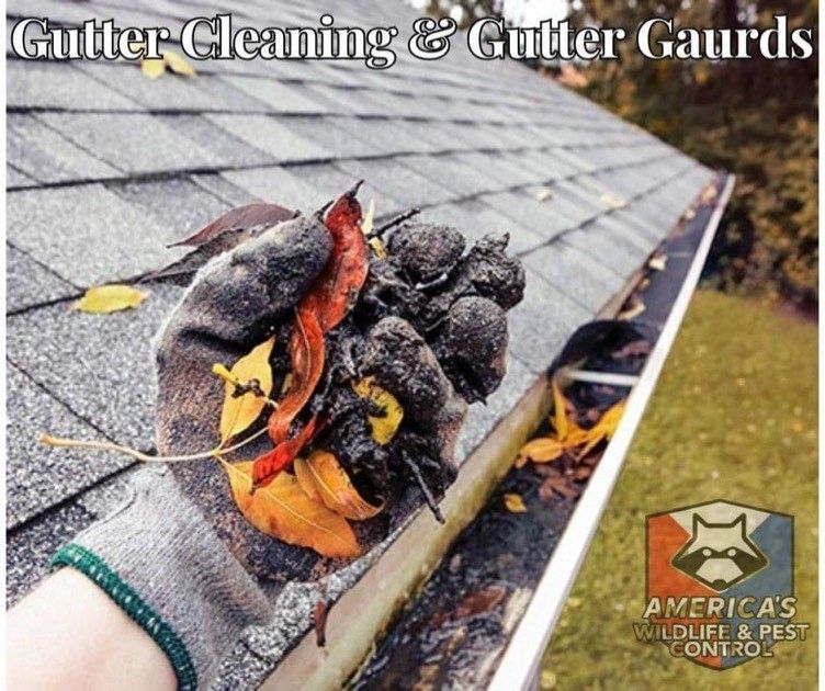 Gutter cleaning