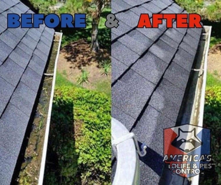 Gutter cleaning before and after picture