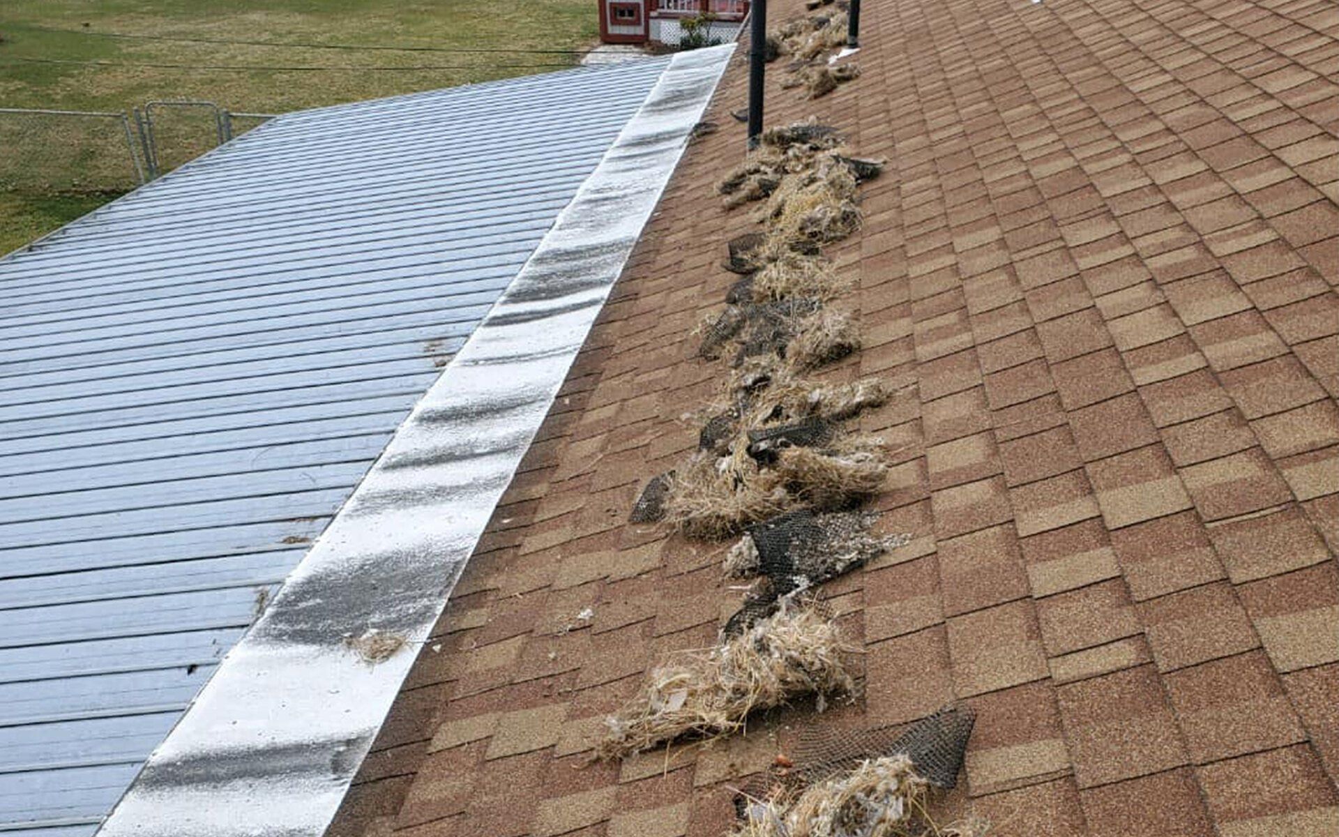 Waste removal and clean-up