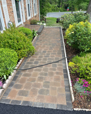 Brick walkway leading to a house, lined with bushes and flowers. A hose runs across the path.