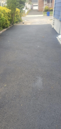 Asphalt driveway leading towards a white garage; green bushes on the left, a blue house on the right.