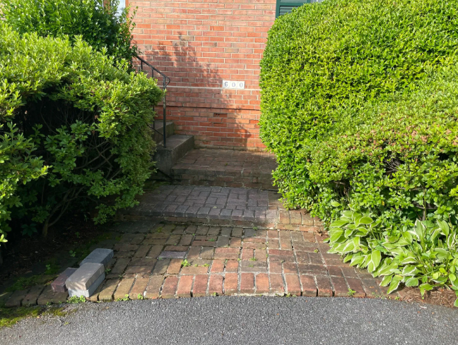Brick walkway and steps leading to a brick building entrance, flanked by green bushes.