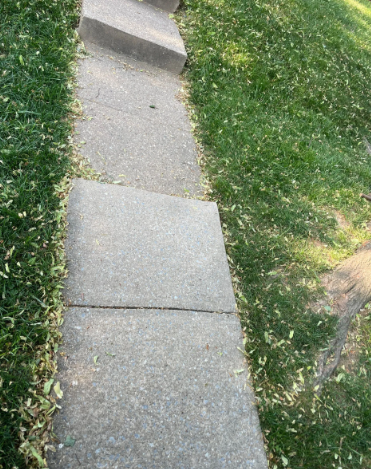Concrete steps and walkway with grass on either side.
