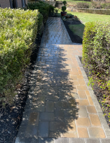 Brick pathway between trimmed hedges in a sunny garden.