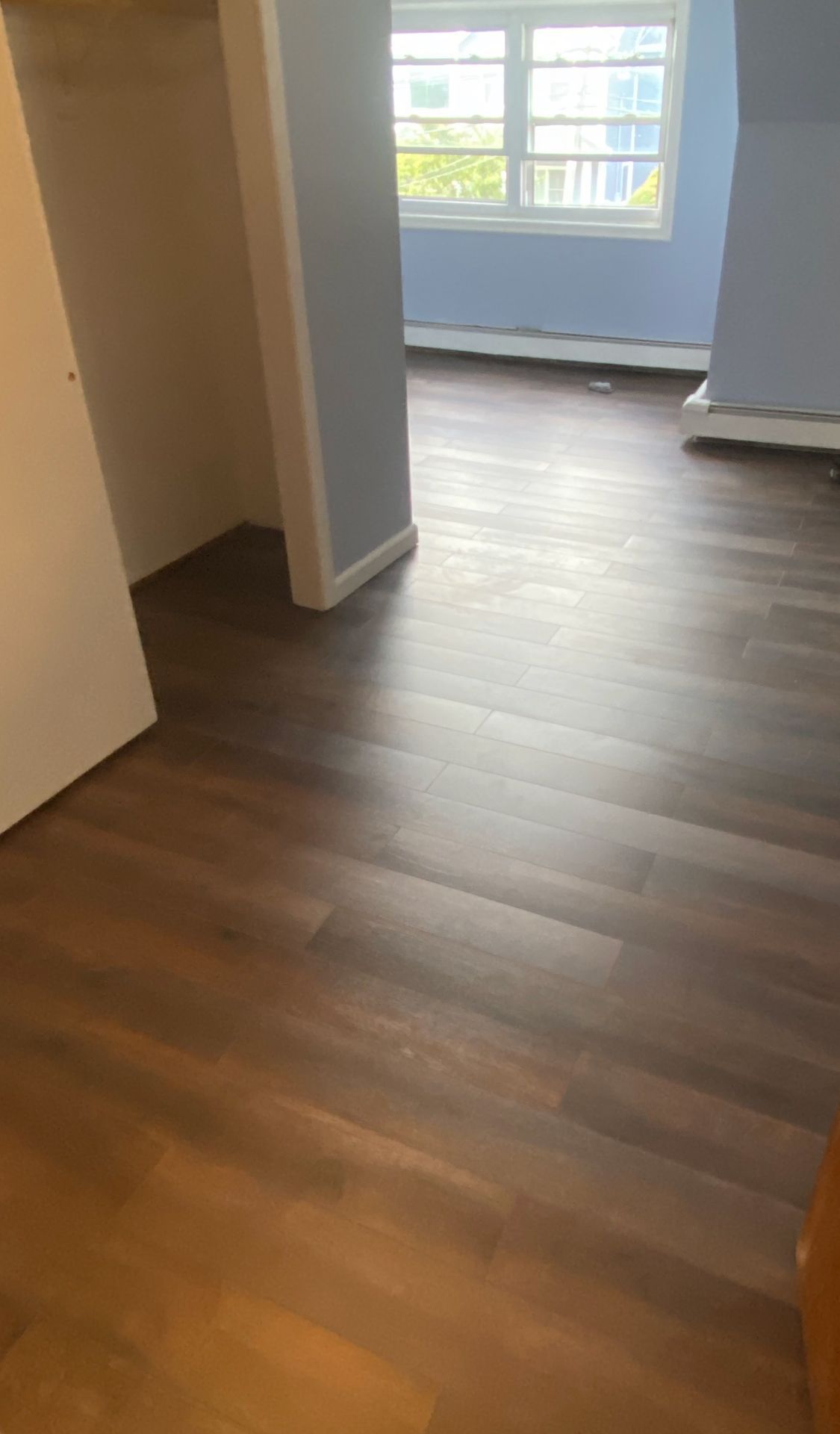 Empty room with dark wood-look flooring, light blue walls, and a window. A closet doorway is visible on the left.