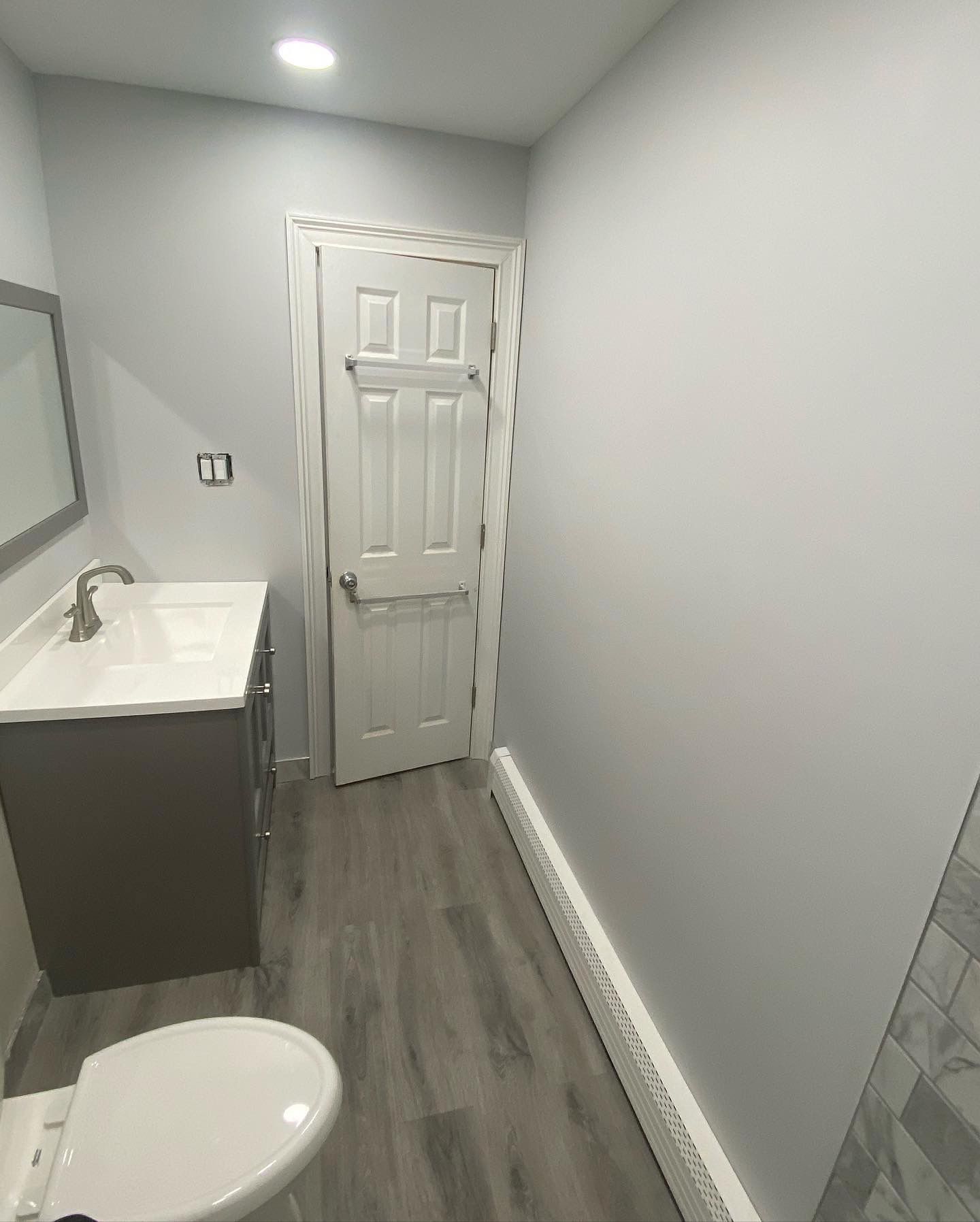 Bathroom with gray walls, white door, vanity, toilet, and gray wood-look flooring.