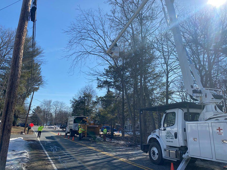 Utility truck with boom trimming trees near power lines on a sunny day. Workers in yellow vests.