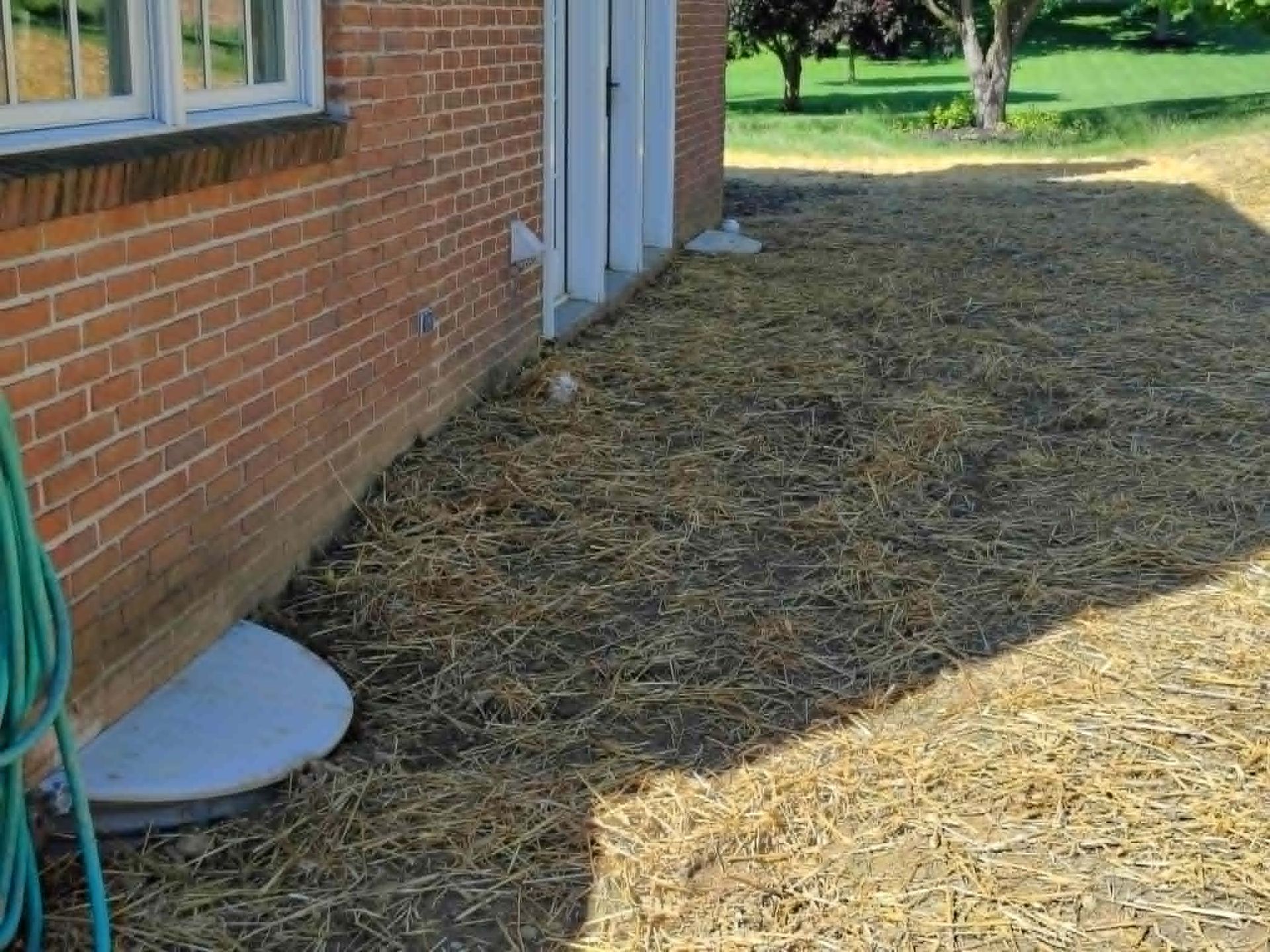 Side of a brick house with windows, brick walkway edge, and dry grass in a sunlit yard.