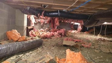 Crawlspace with exposed insulation, ducts, and damaged flooring under a house