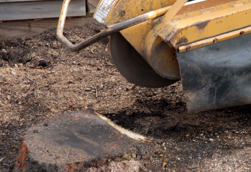 Stump Grinding