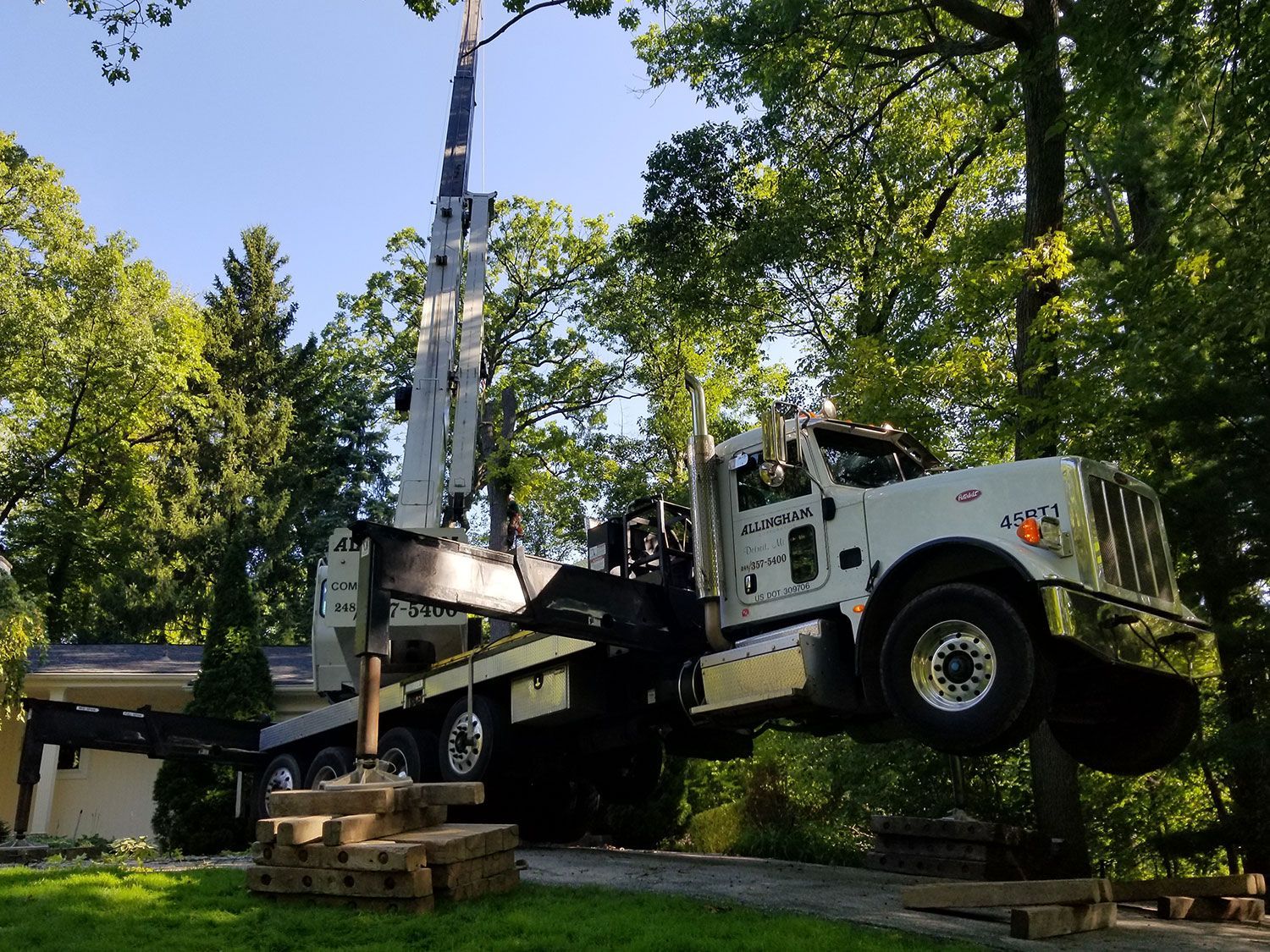 Tree Trimming and Pruning