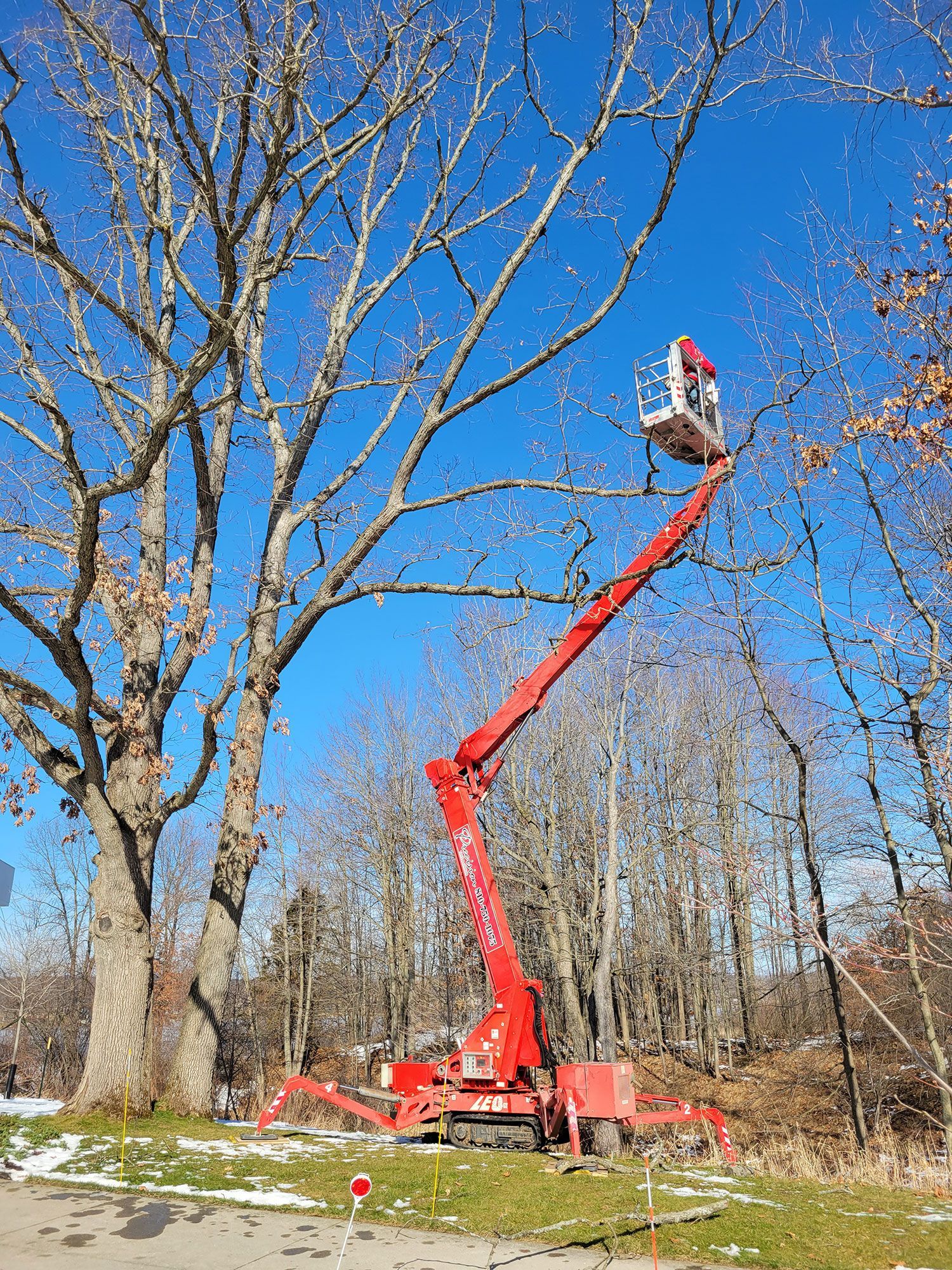 Tree Trimming and Pruning
