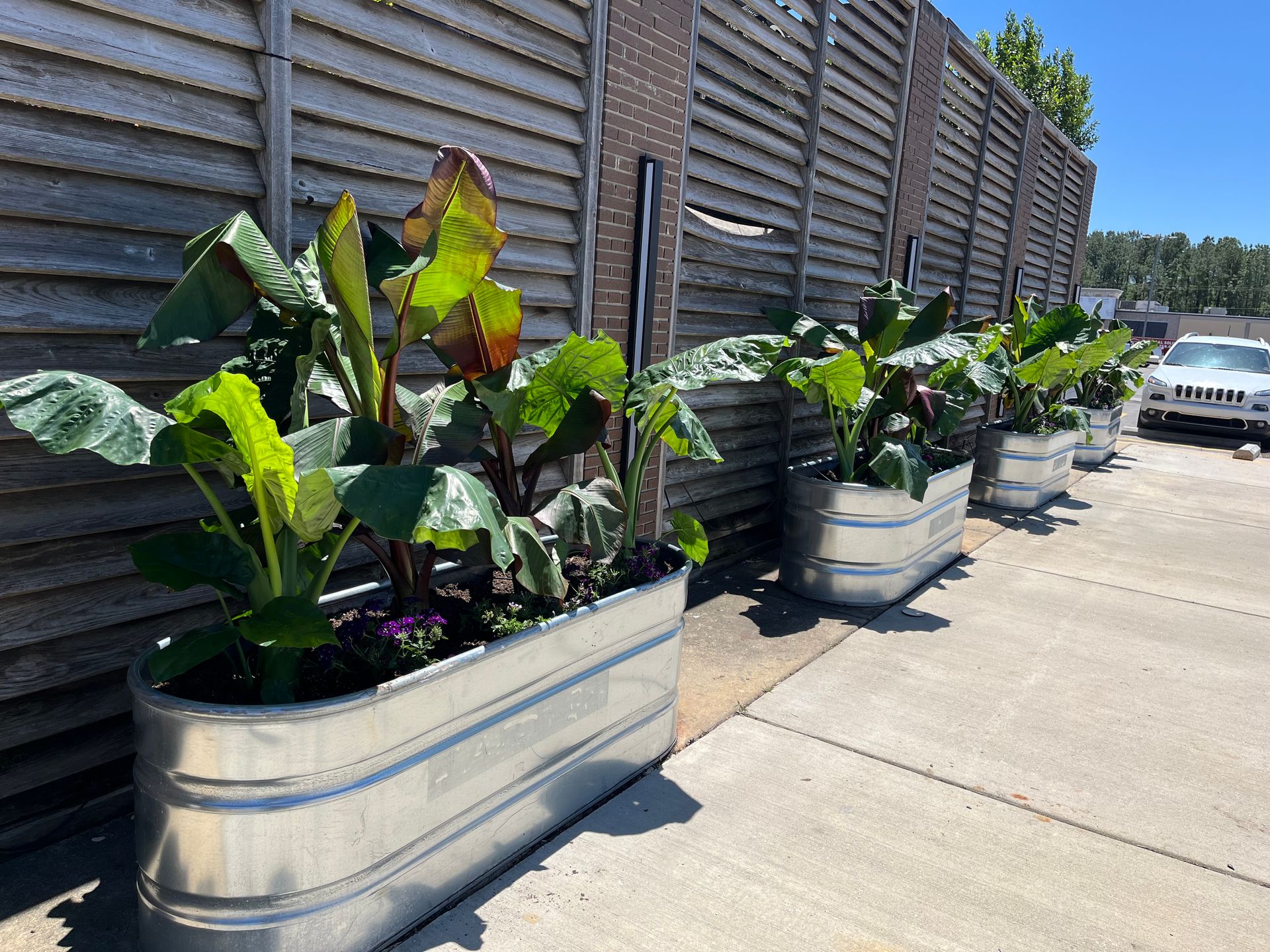 A row of metal planters filled with plants next to a wooden fence.