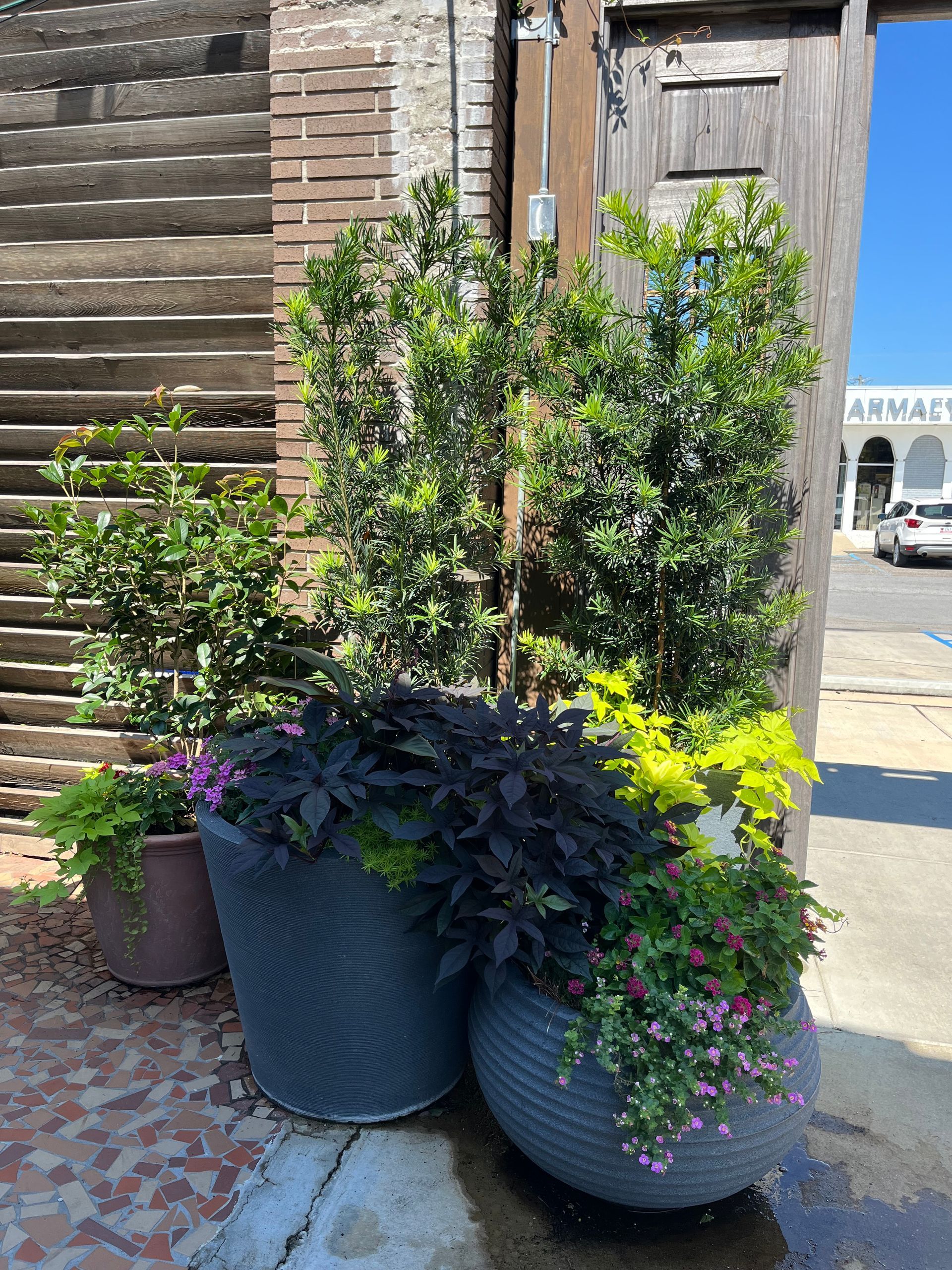 A bunch of potted plants are sitting on the sidewalk in front of a building.