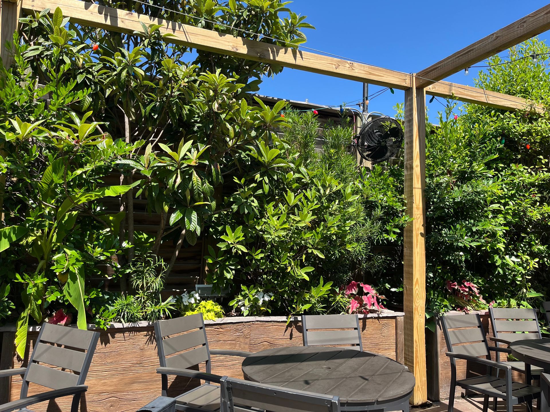 A table and chairs under a pergola in a garden