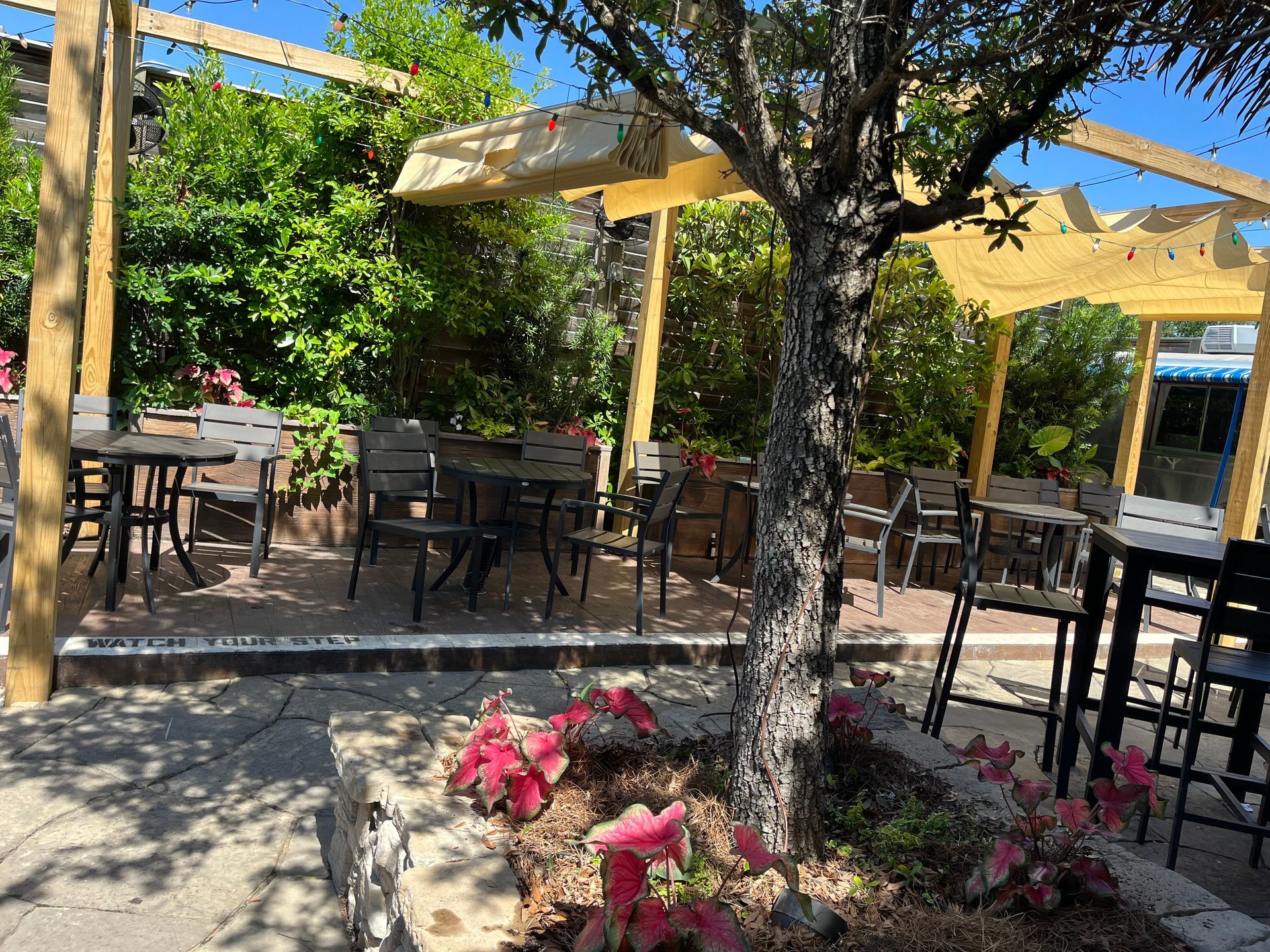 A patio with tables and chairs under a pergola and a tree.