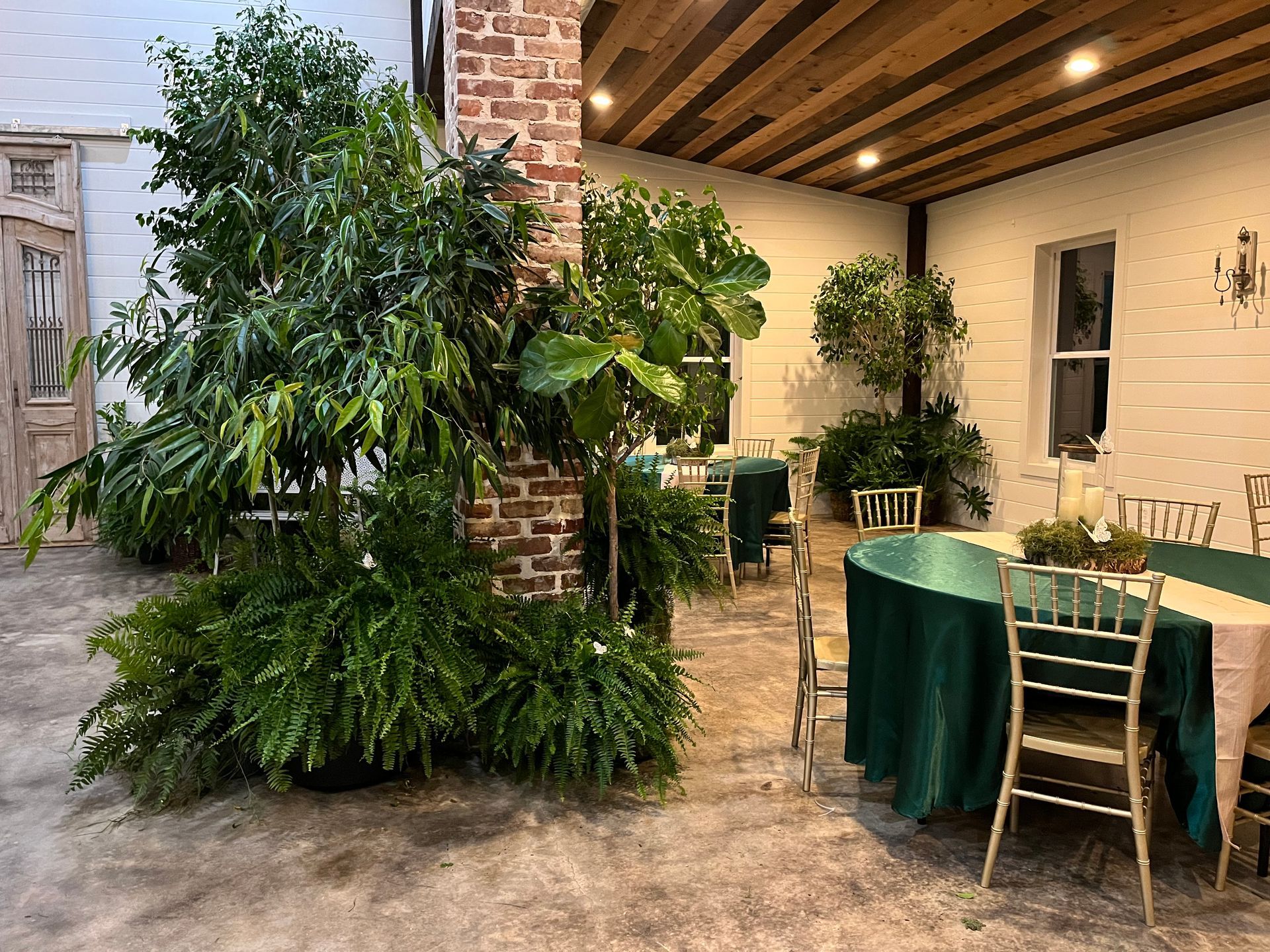 A room with tables and chairs and lots of plants.