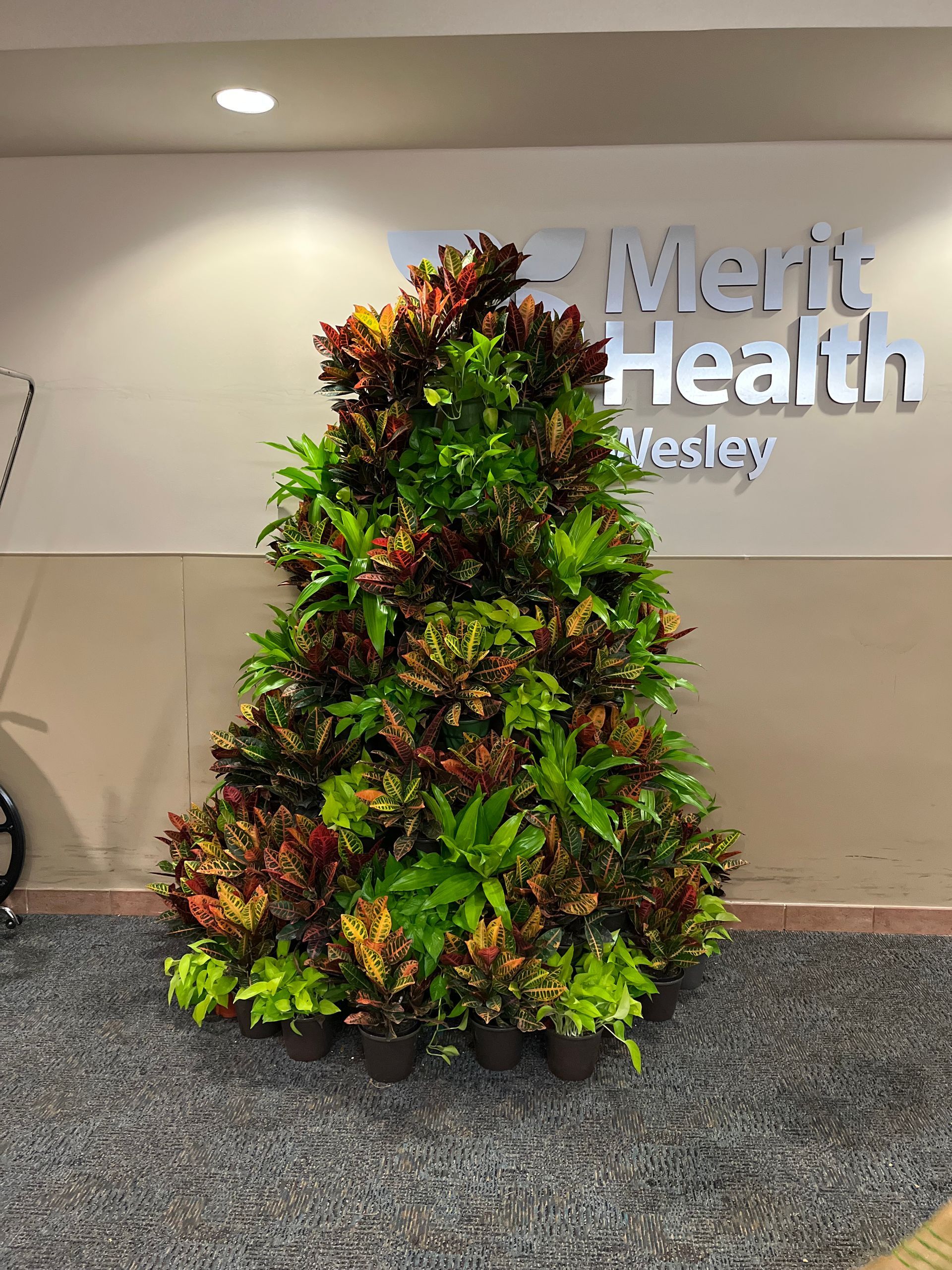 A christmas tree made of plants in front of a sign for mark health
