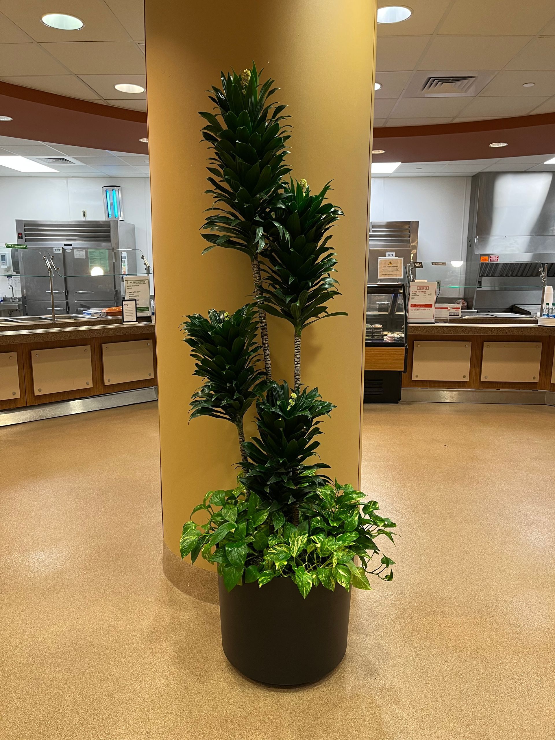A potted plant is sitting next to a pillar in a restaurant.
