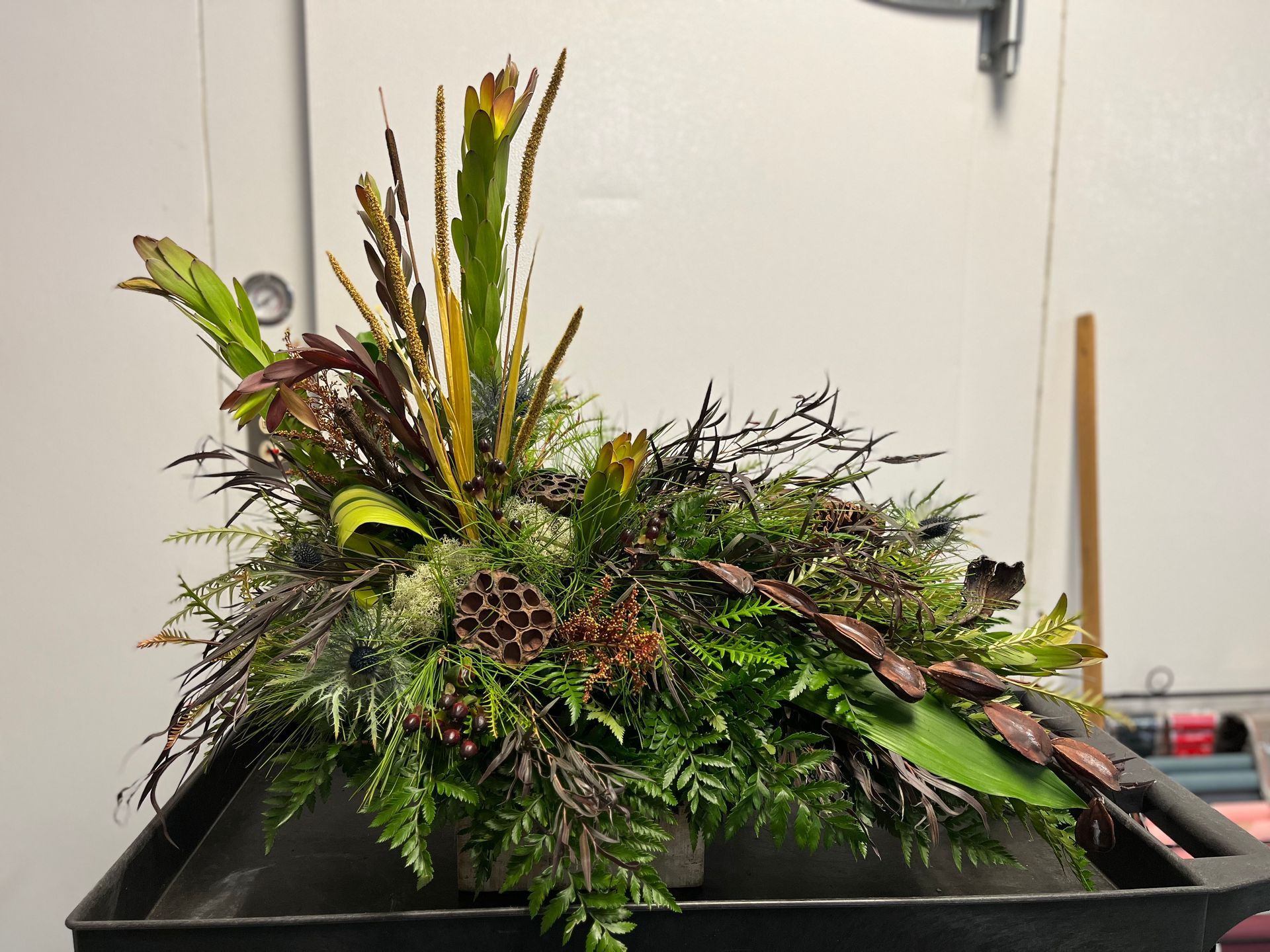 A black tray filled with lots of green plants and pine cones