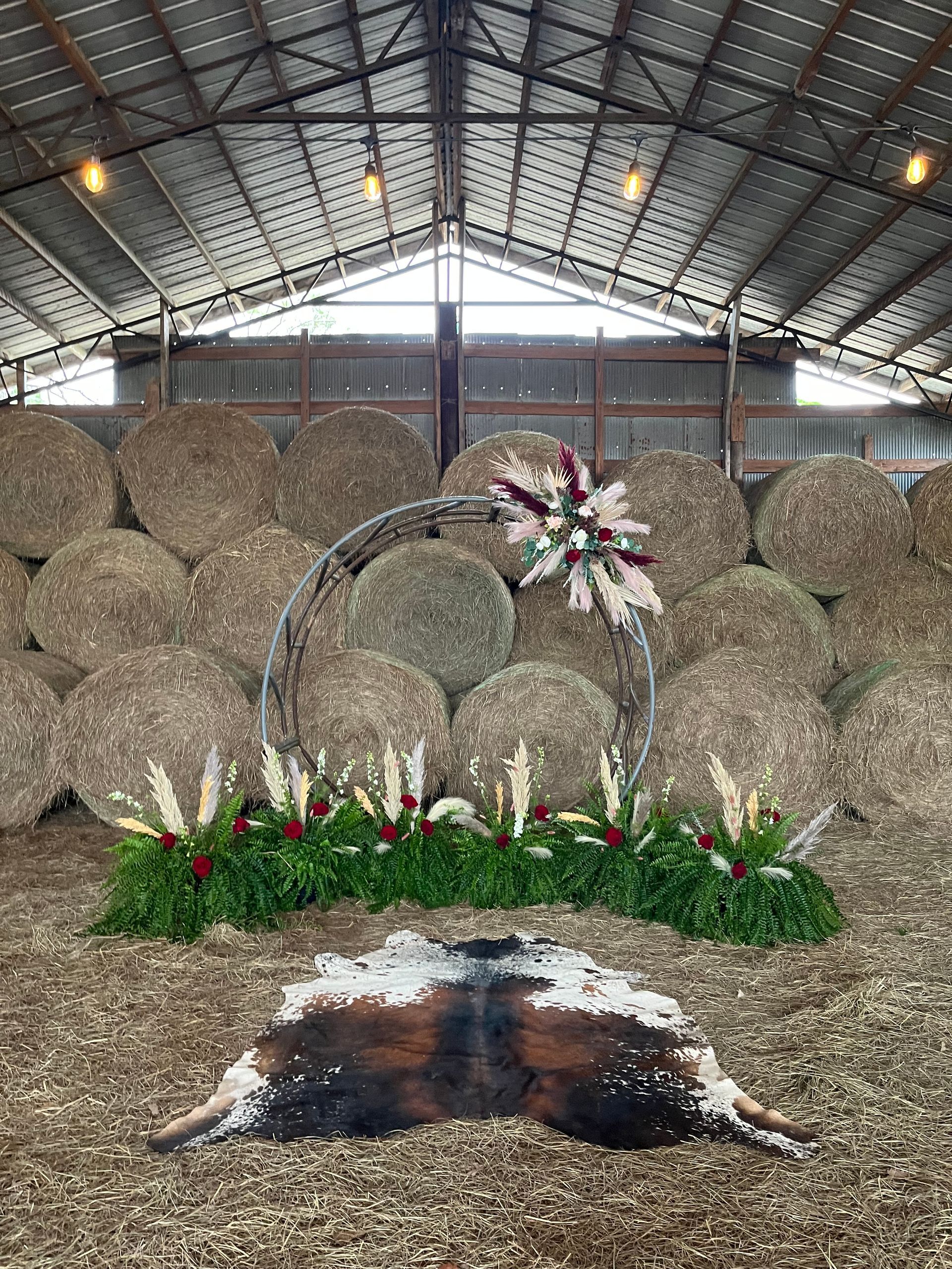 A cow 's fur is laying on the ground in front of a pile of hay bales.