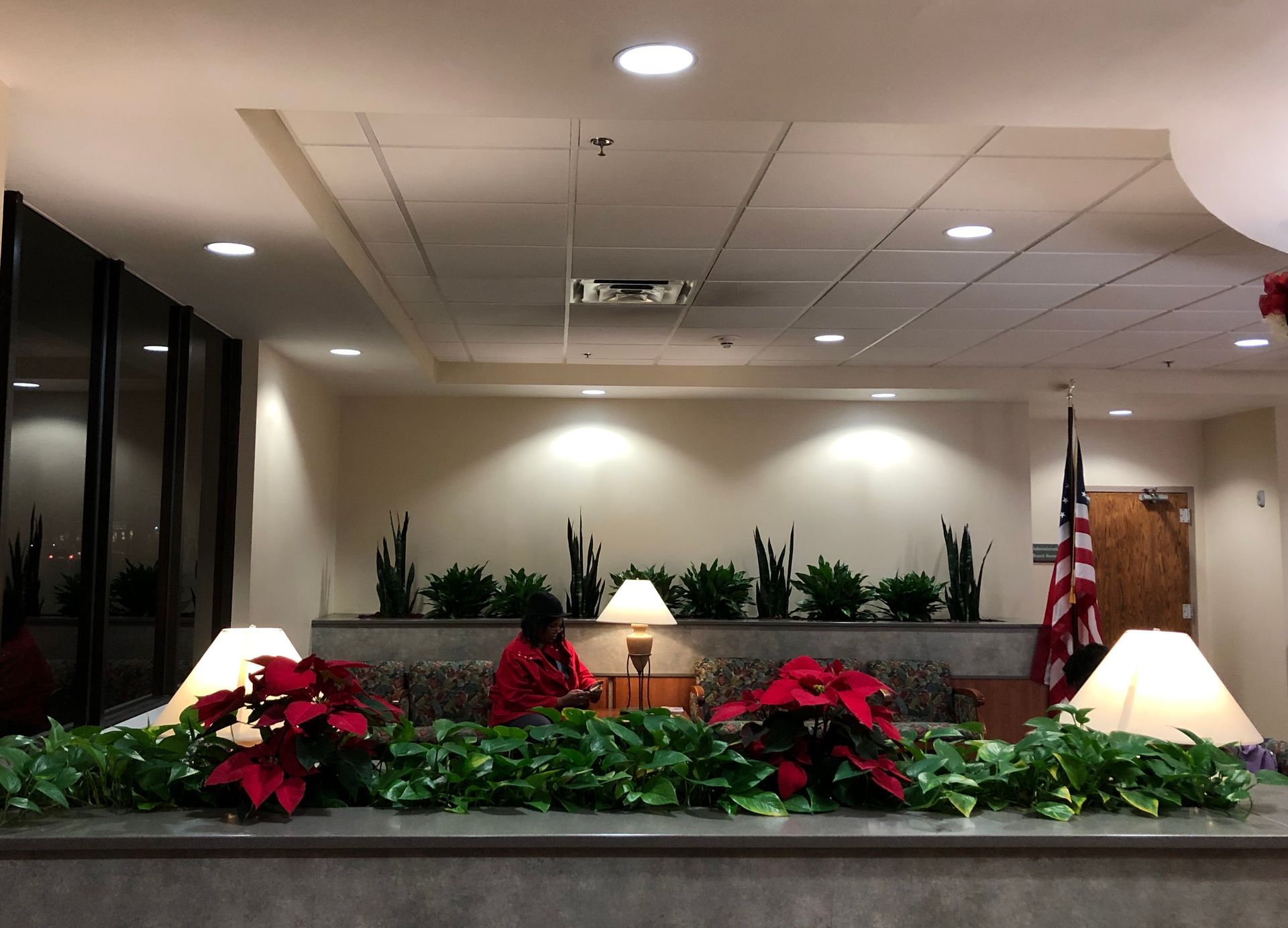 A room with a lot of plants and lamps