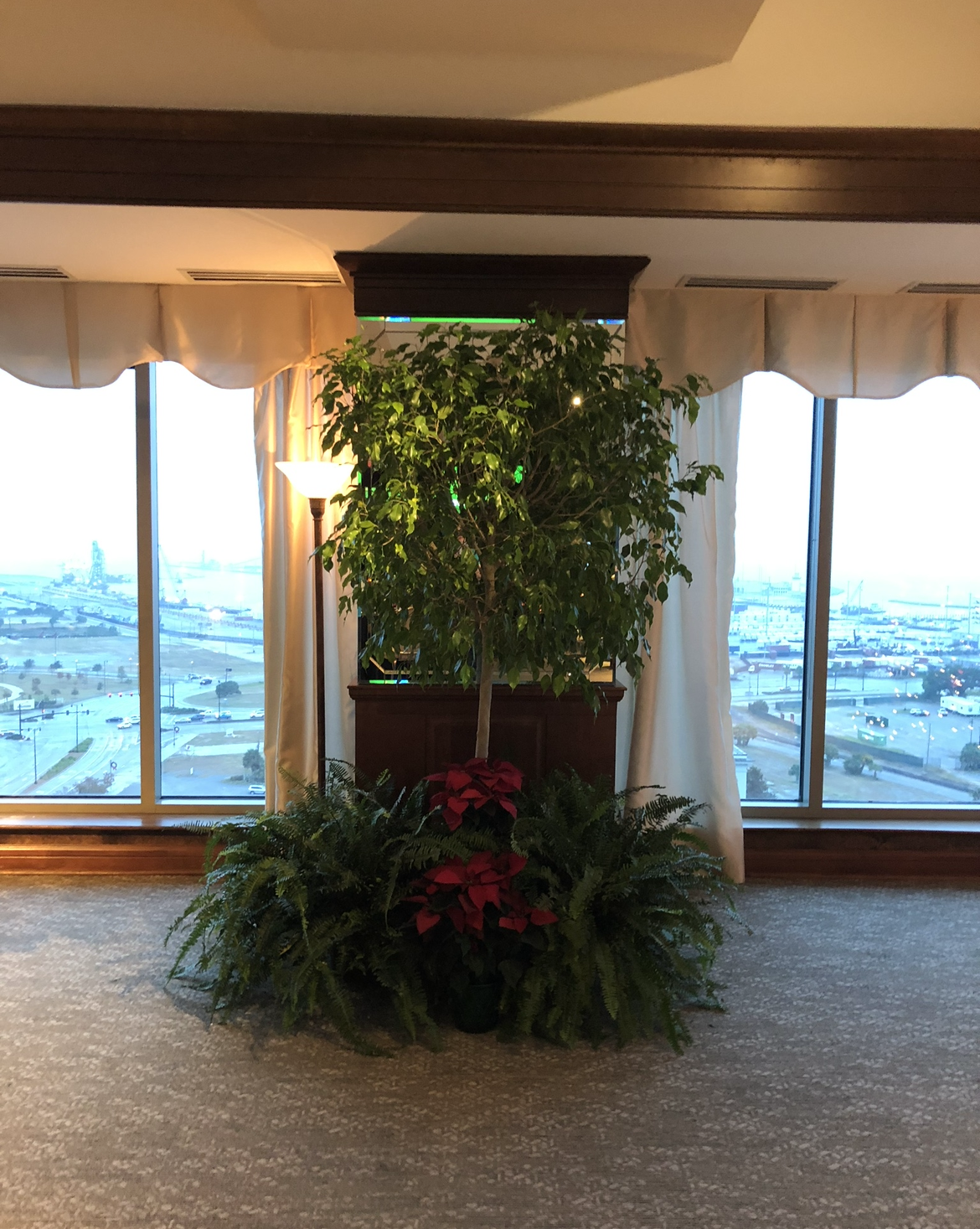 A room with a large window and plants in front of it