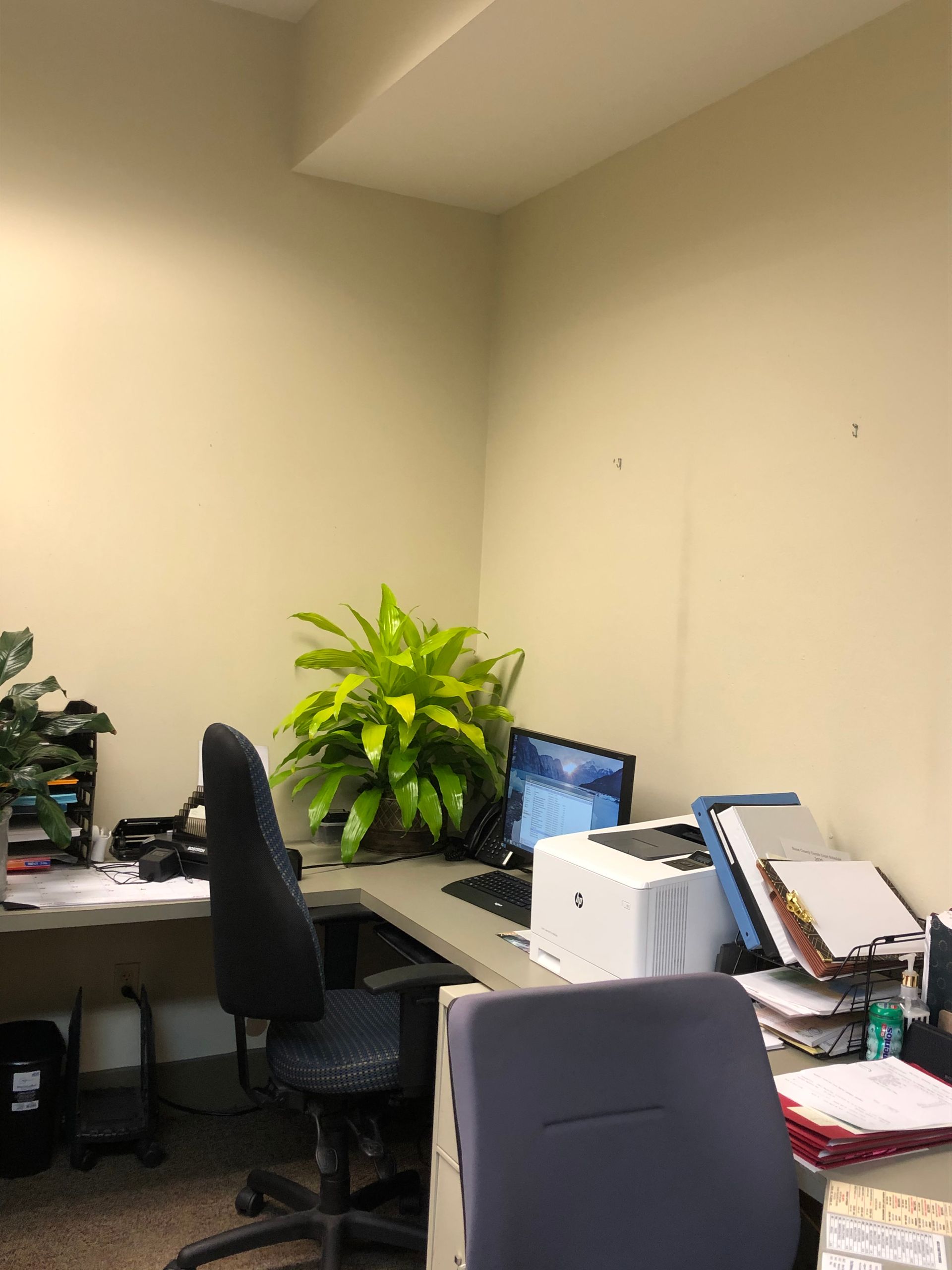 An office with a desk , chair , computer , printer and plant.