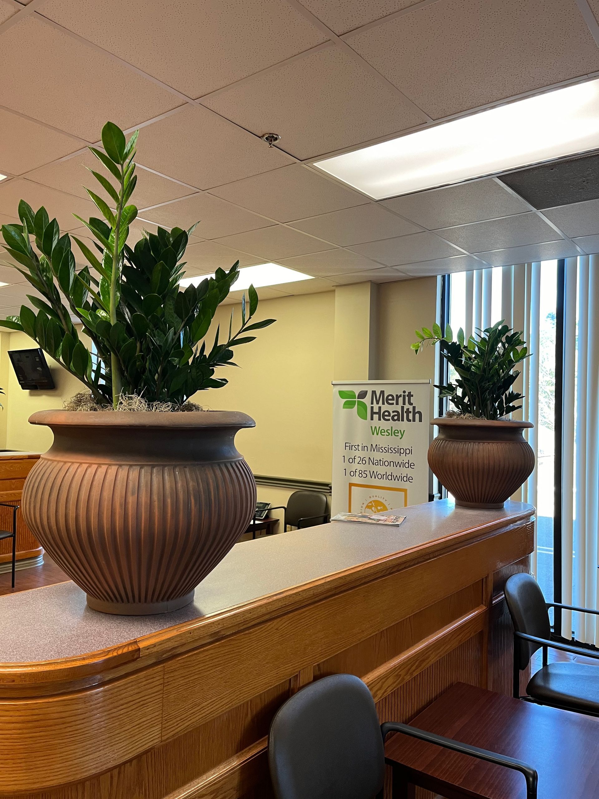 Two potted plants are sitting on a counter in a hospital waiting room.