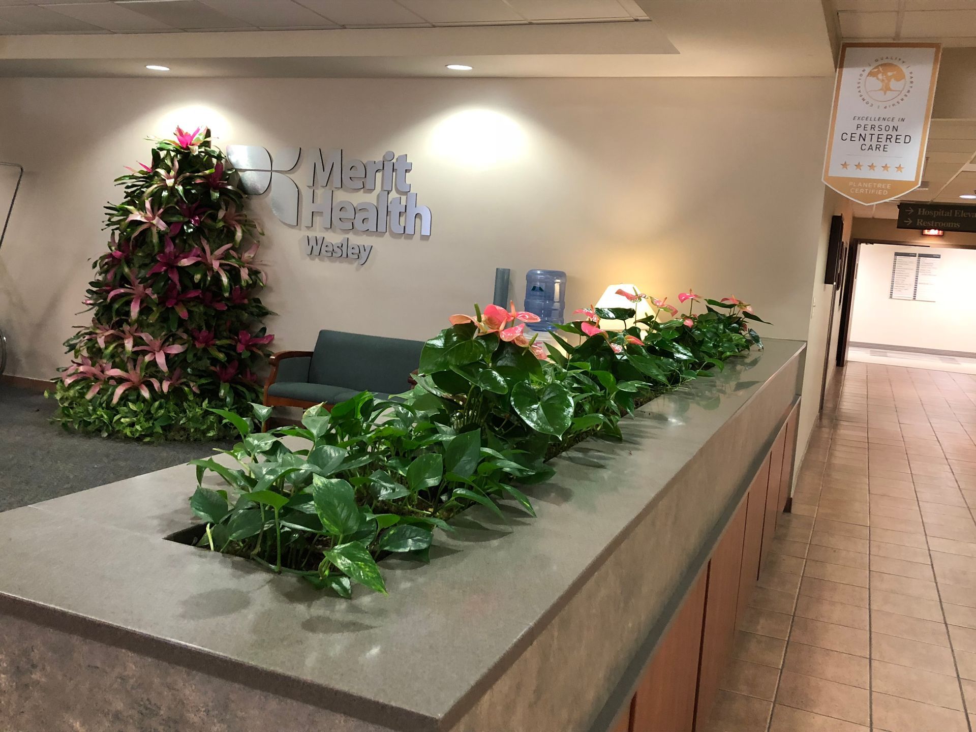 A hospital lobby with a christmas tree and flowers on the counter