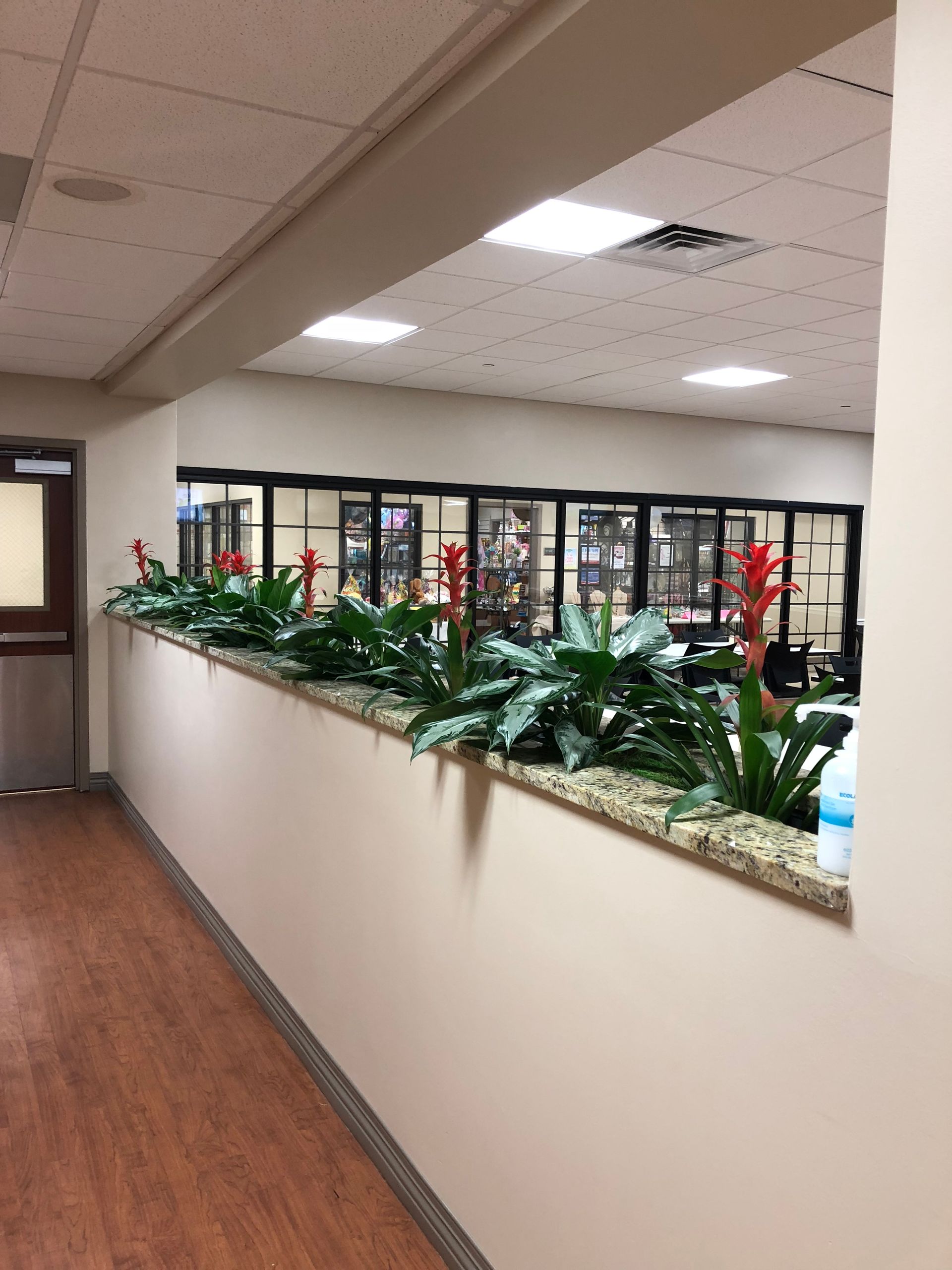 A hallway with plants on the wall and a gym in the background