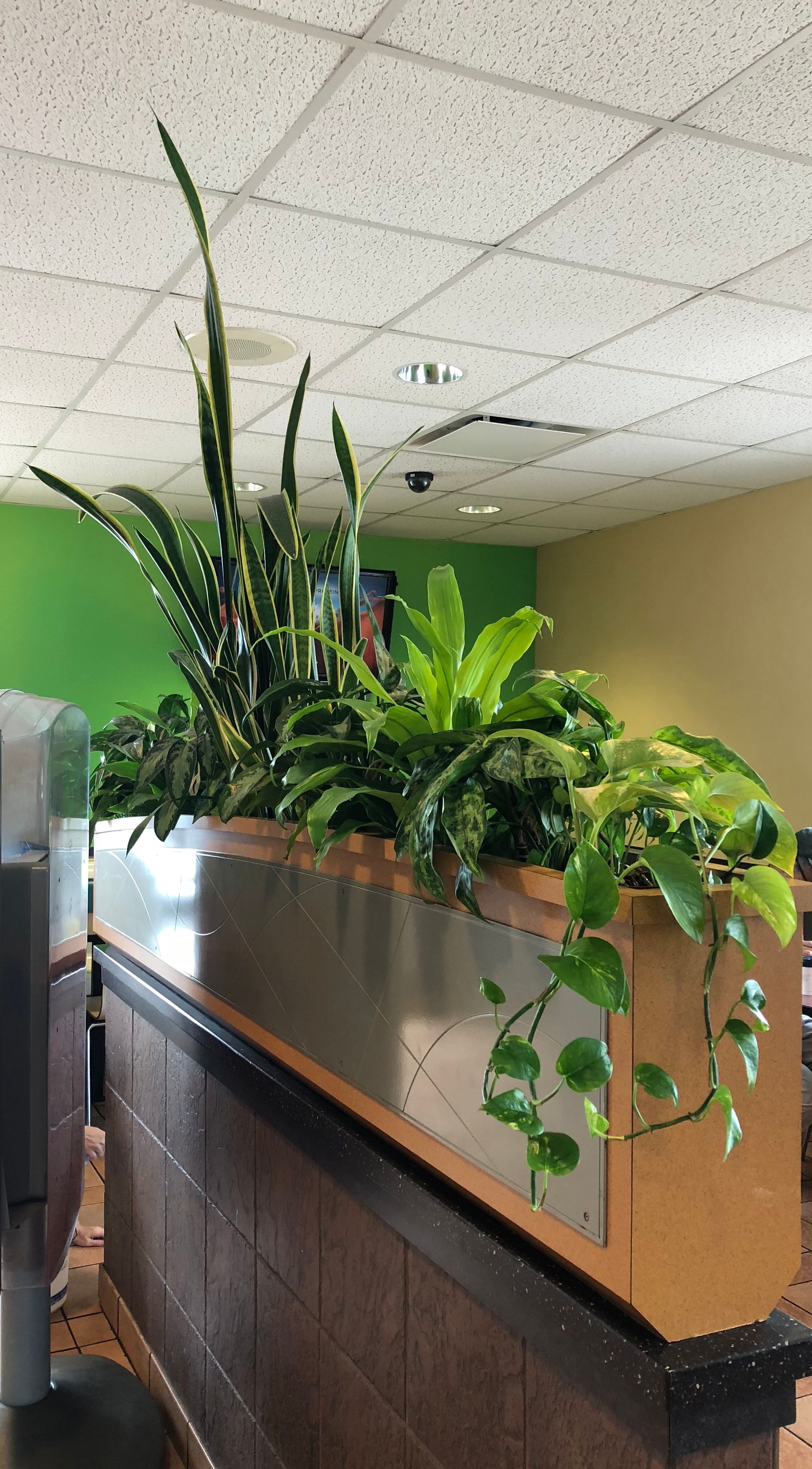 A planter filled with plants is sitting on a counter in a restaurant.