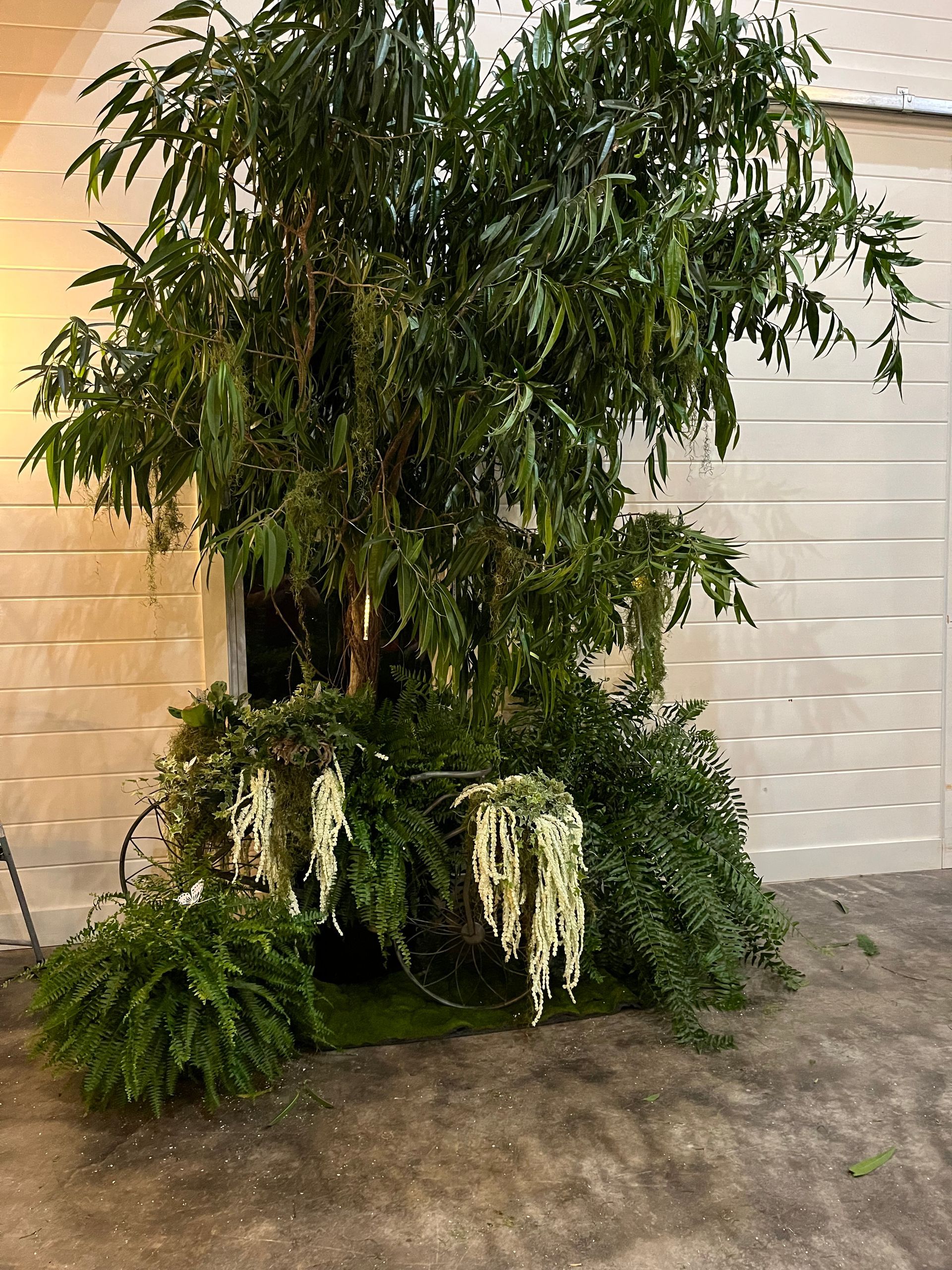 A large tree with lots of leaves is sitting in front of a garage door.