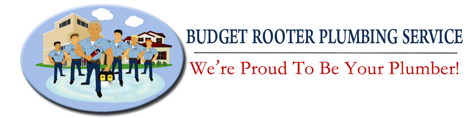 Budget Rooter Plumbing Service - logo
