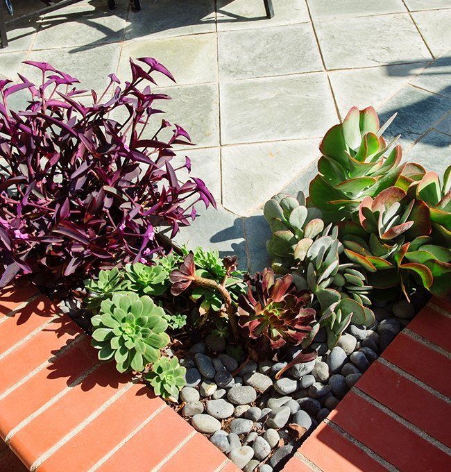 Beautiful landscape design