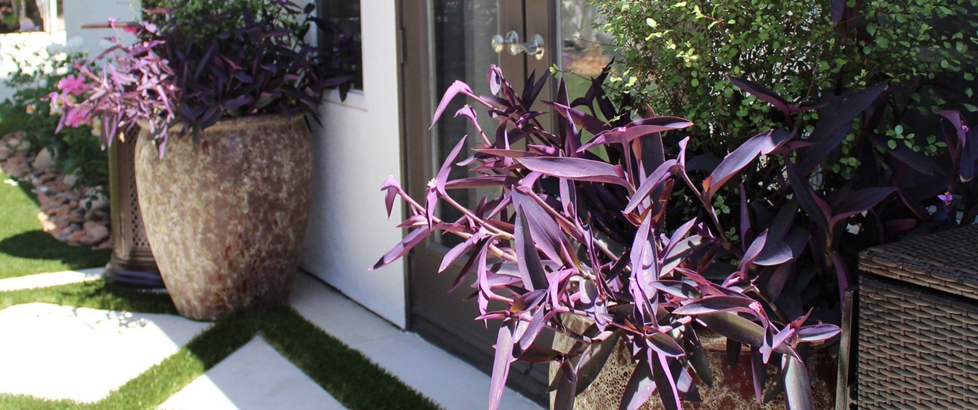 Beautiful flower decoration