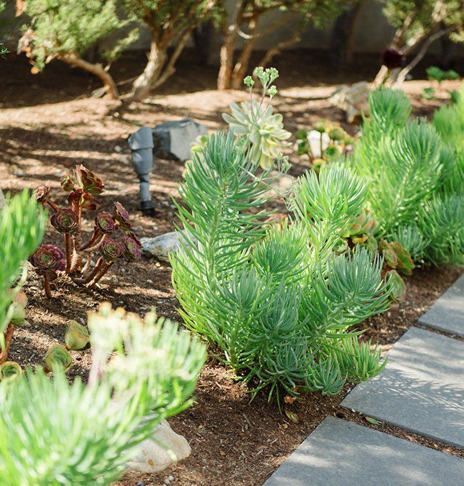 Beautiful landscape design