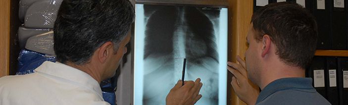 Doctor showing x-ray report