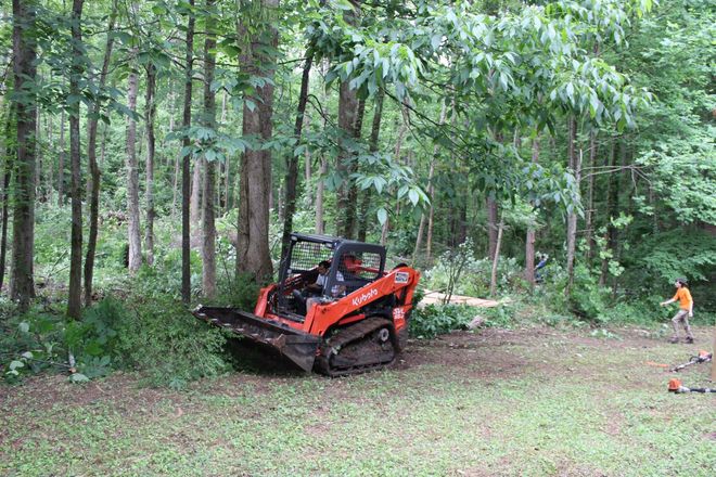 Orange skid-steer clearing a wooded area beside a grassy path