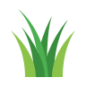 Pristine Turf & Pest