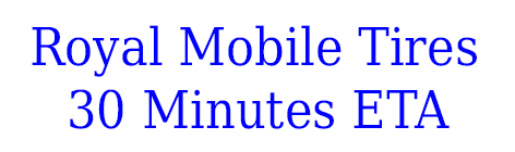 Royal Mobile Tires 30 Minutes ETA - logo